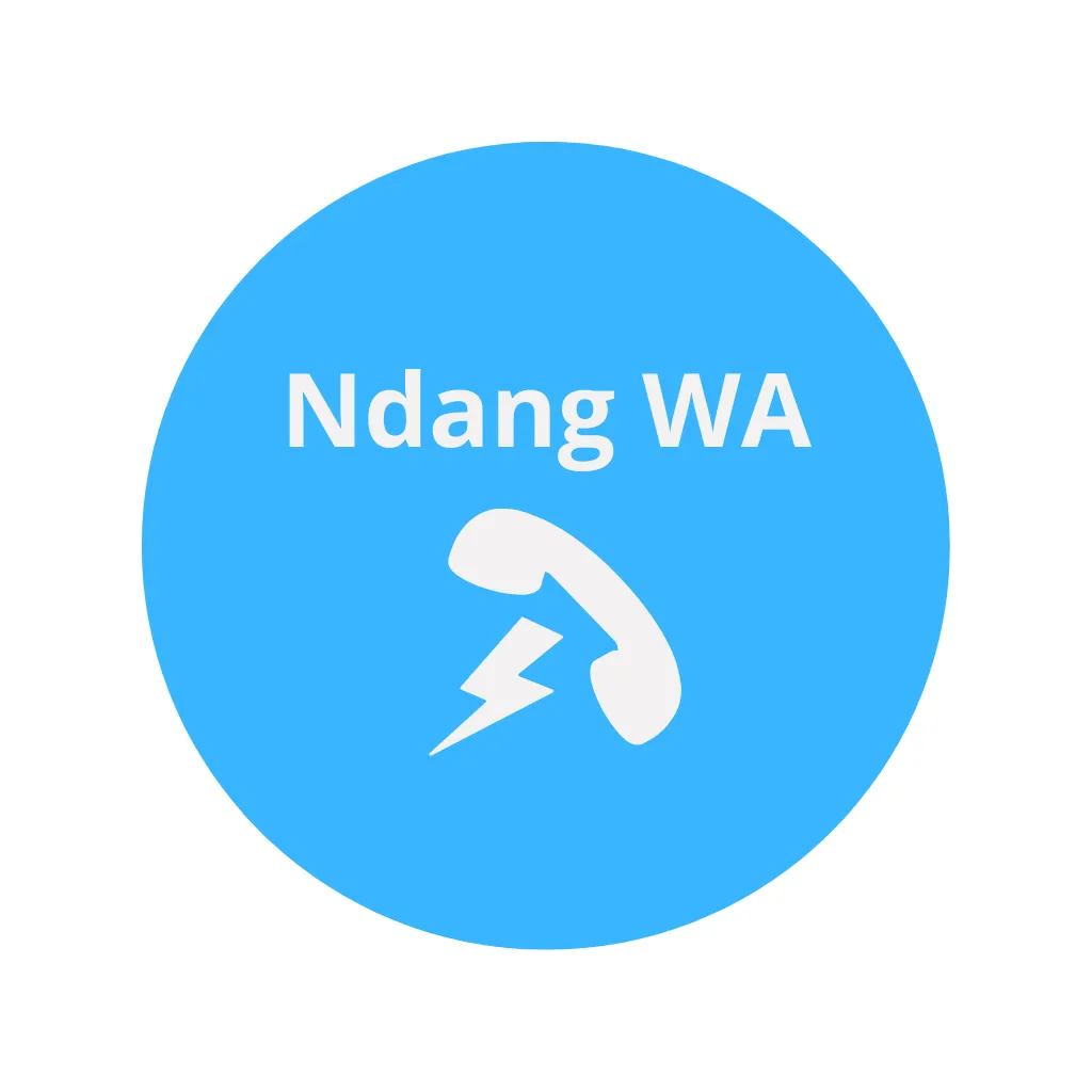 Icon Ndang WA